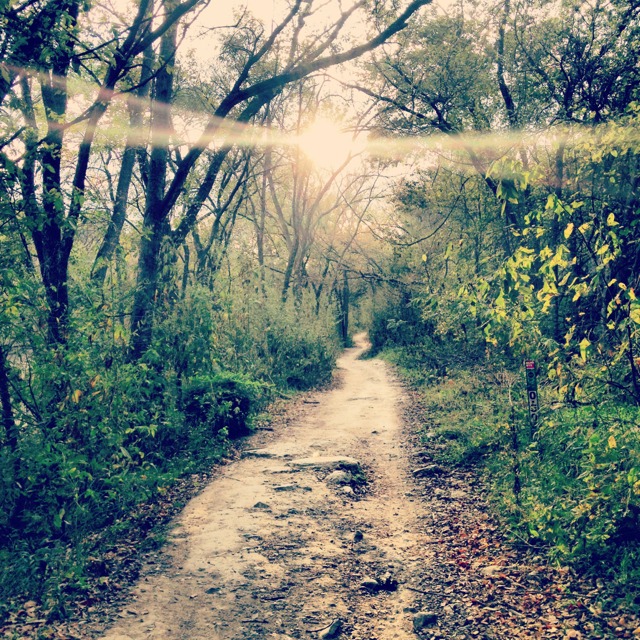Barton Creek Greenbelt (Multiple Entrances) Austin Parks Foundation