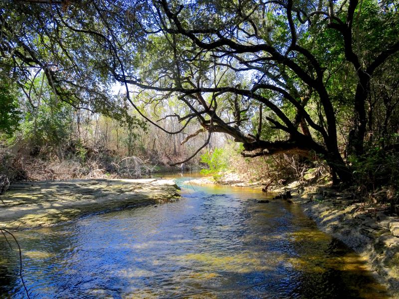 Williamson Creek Greenbelt East Austin Parks Foundation