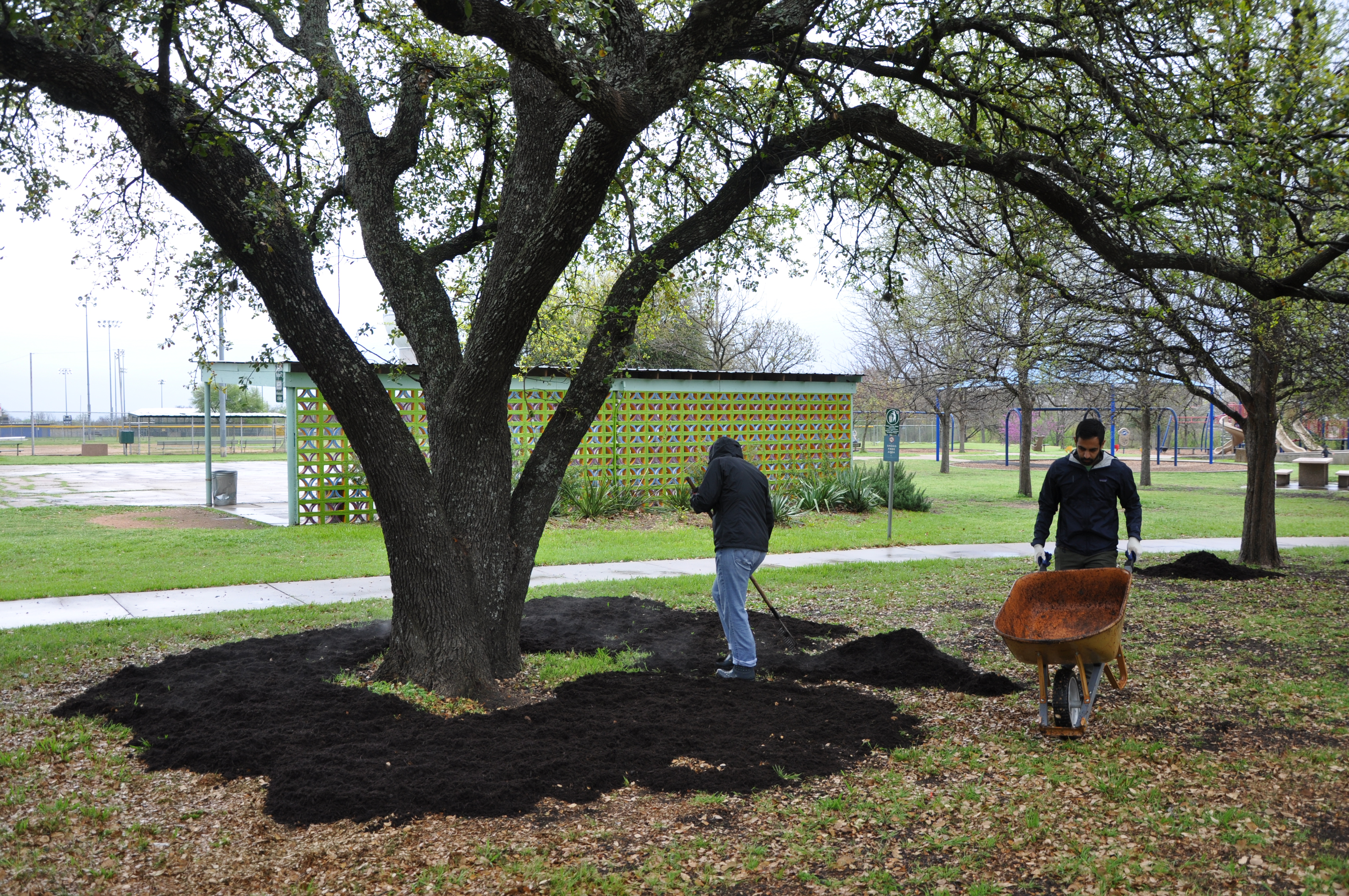 Bartholomew District Park Austin Parks Foundation