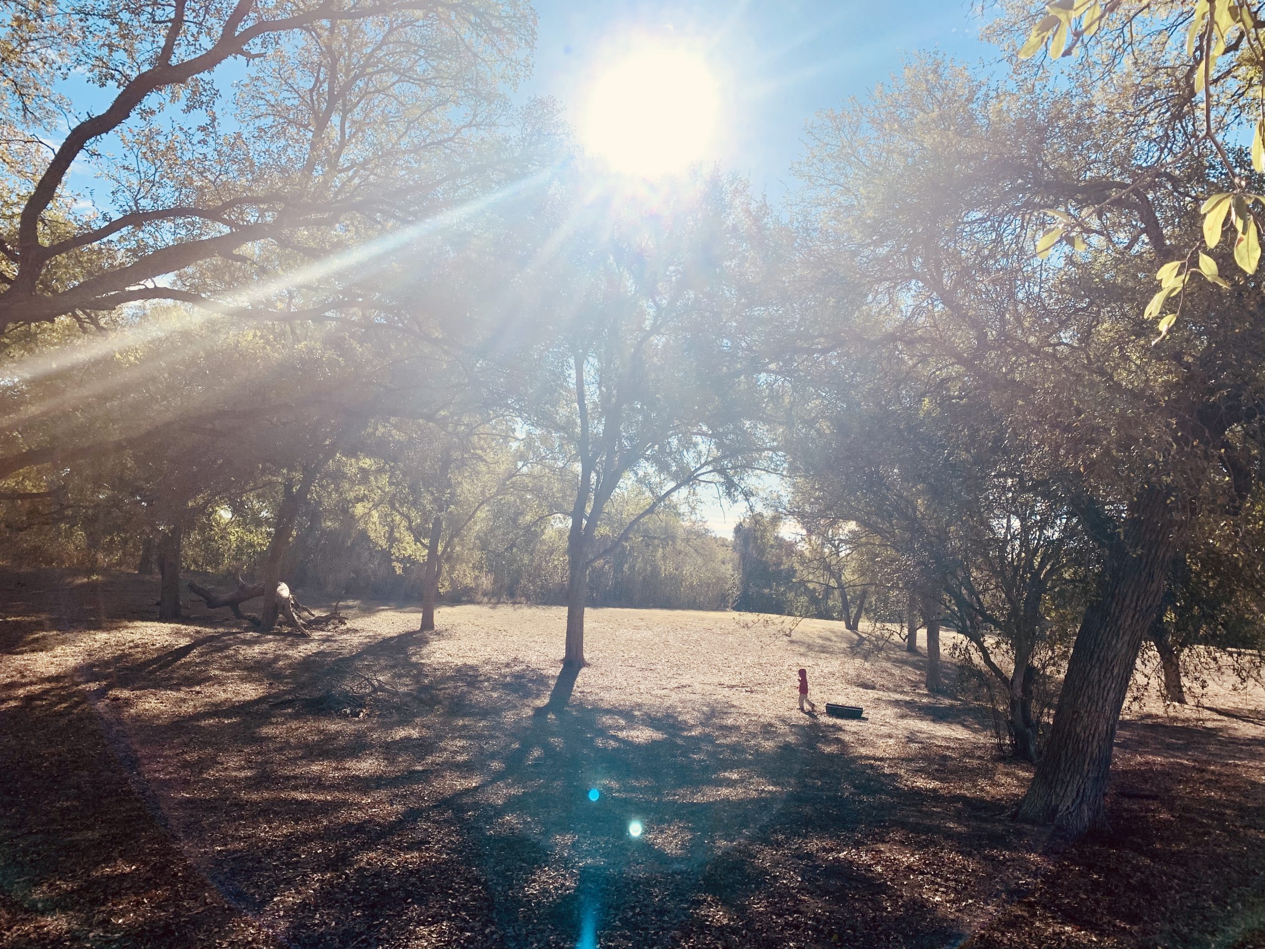 Onion Creek District Park Austin Parks Foundation
