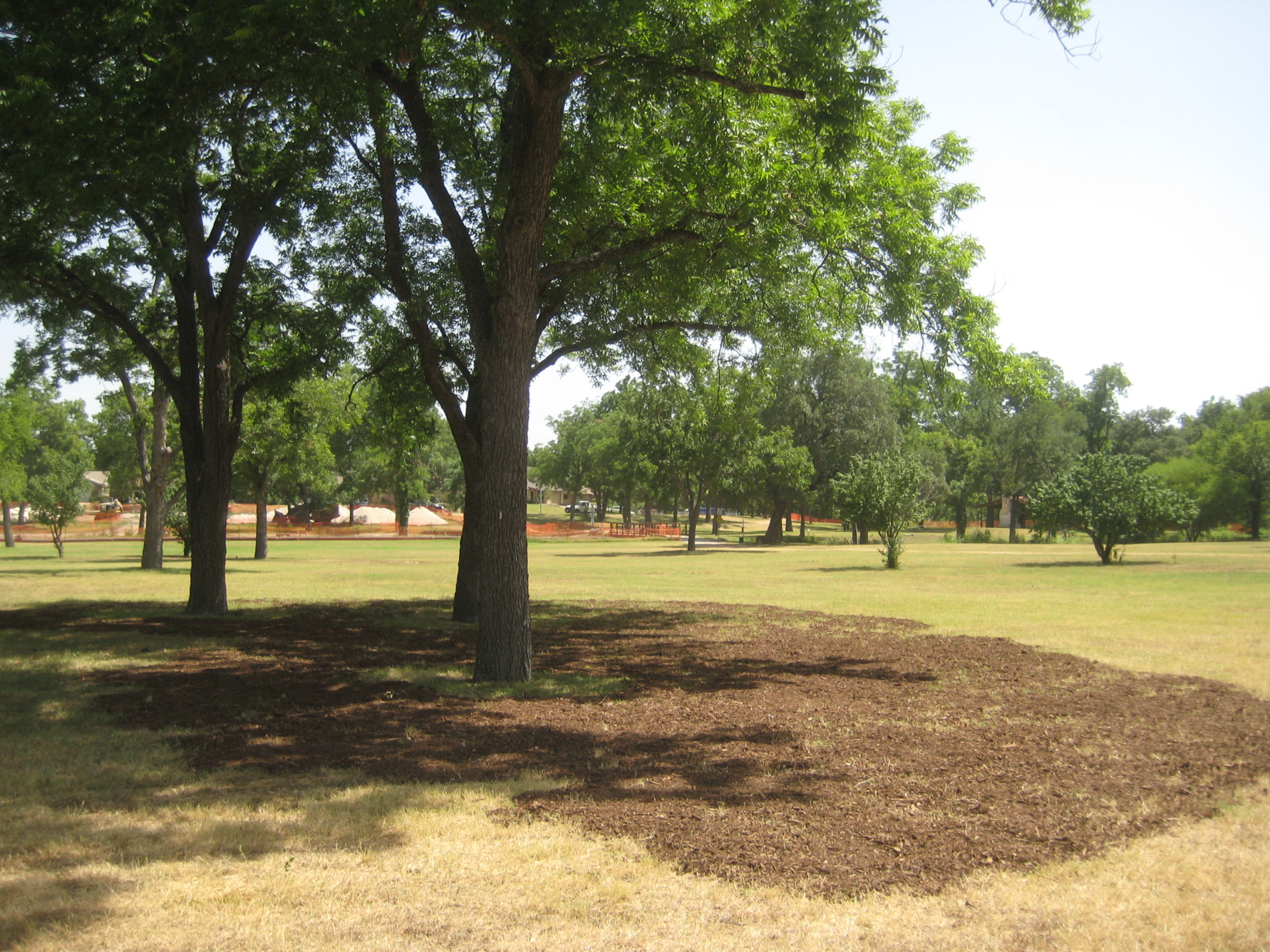 Boggy Creek Greenbelt Austin Parks Foundation