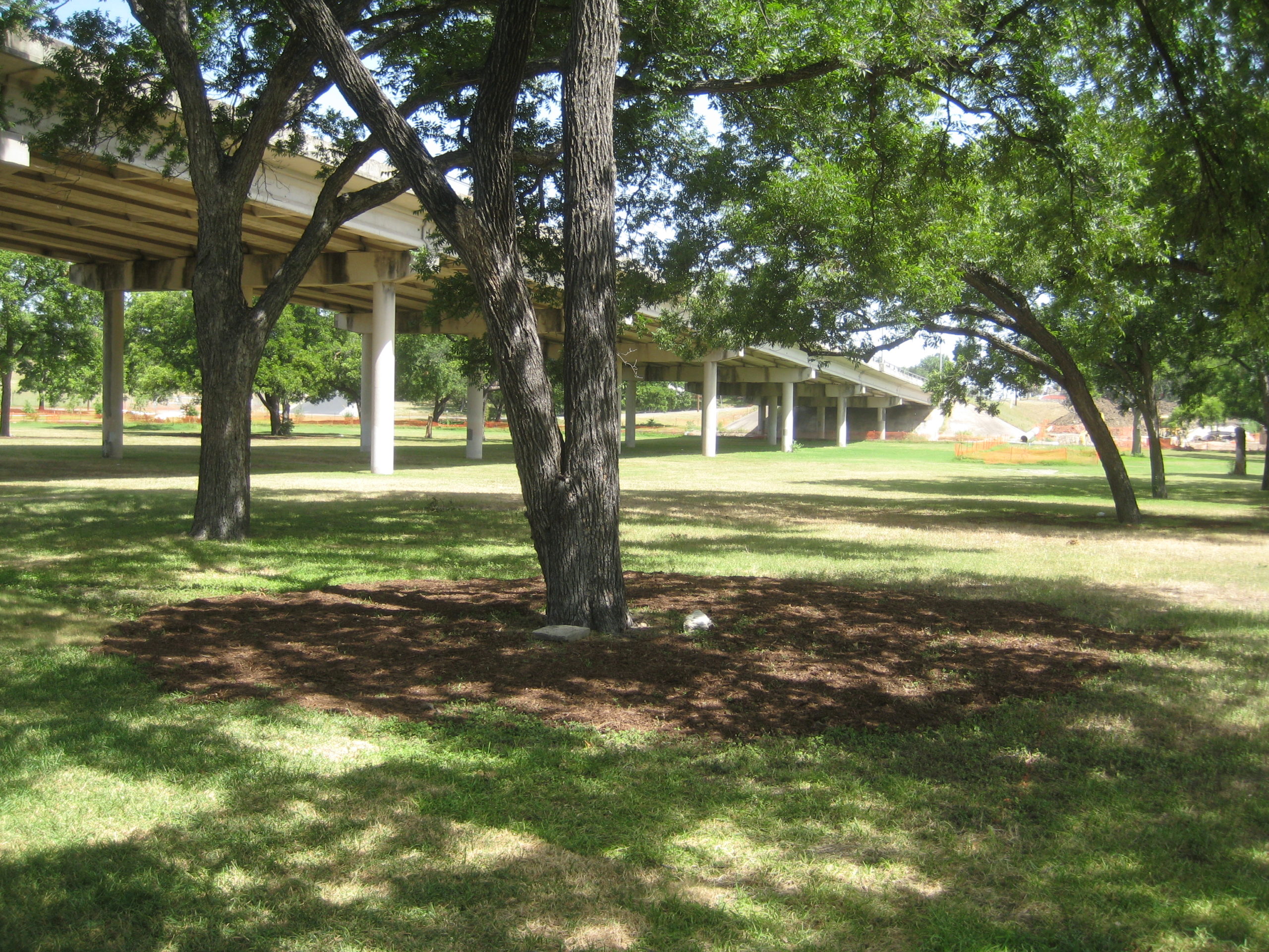 Boggy Creek Greenbelt Austin Parks Foundation