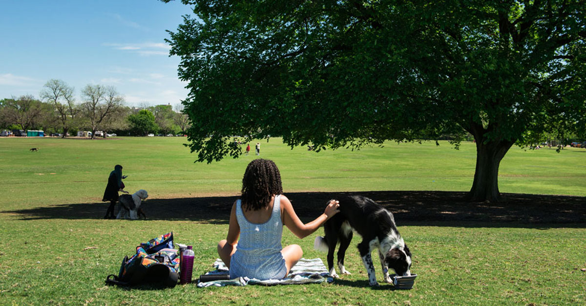 girl with dog at zilker park apf