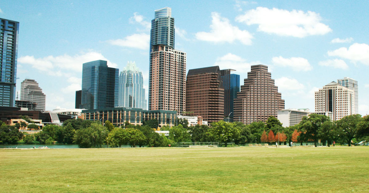 apf new board members