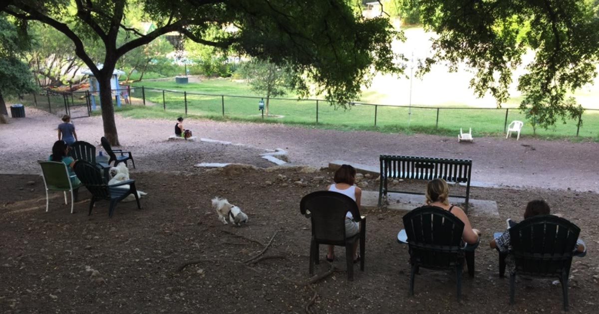 5 Favorite Off-leash Dog Parks in Austin, TX - Austin Parks Foundation