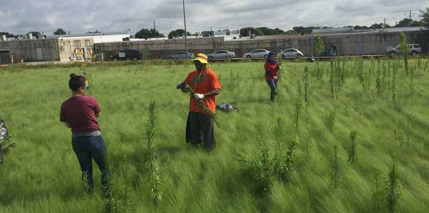 Open Volunteer Opportunity Alderbrook Pocket Park workday