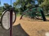 Project Playback: Govalle Neighborhood Park