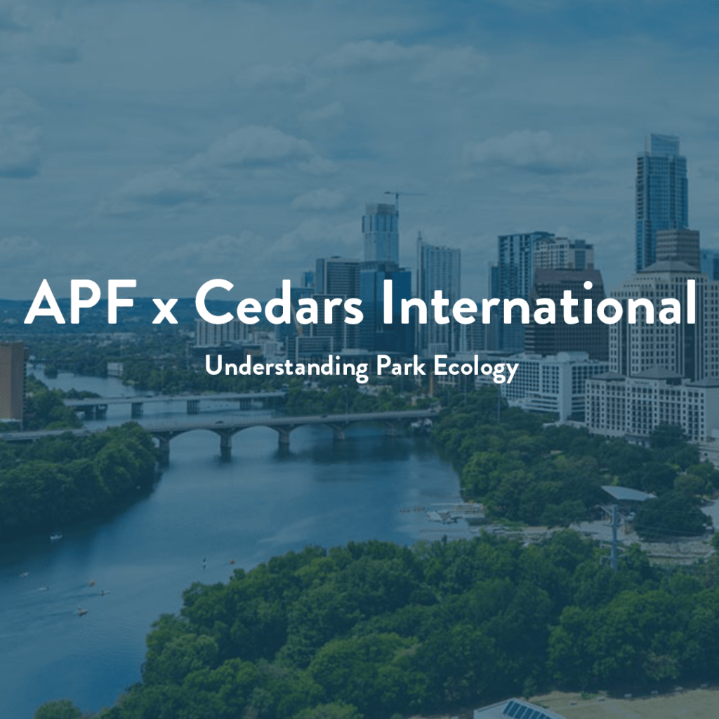 APF x Cedars International: Understanding Park Ecology