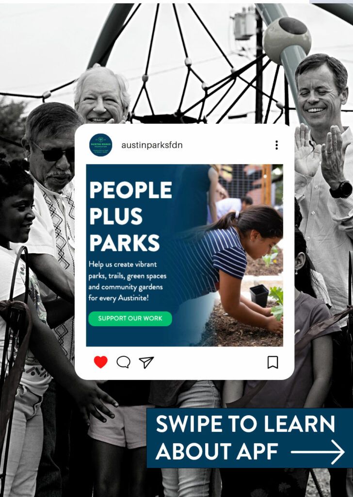 Austin Parks Foundation at a Glance