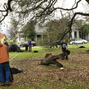 Crews clean tree debris and logs at Swede Hill Park in Austin, TX.