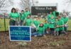 Austin Parks Foundation at a Glance – Adopt-A-Park