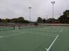 Pickleball: What’s the big dill?