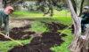 Walnut Creek Metro Park and Little Walnut Creek Greenbelt: A Tale of Two Walnuts
