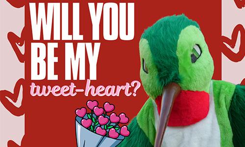 Featured image for “L💚VE is in the parks this Valentine’s Day”