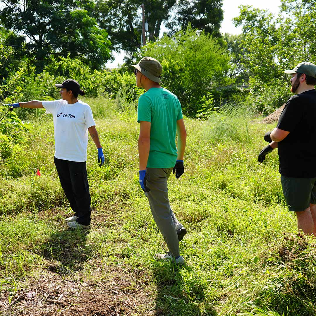 Featured image for “Volunteer with Austin Parks Foundation”